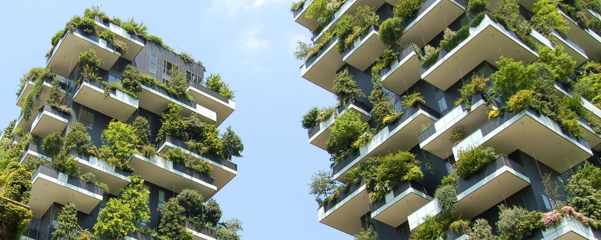 Why Living a Sustainable Life Is Good for You and the Planet